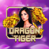 hawkgaming Dragon Tiger game