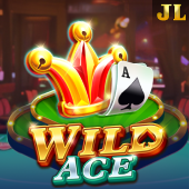 hawkgaming Wild Ace slot